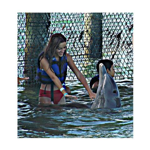 the dolphins are very inteligent and loving animals