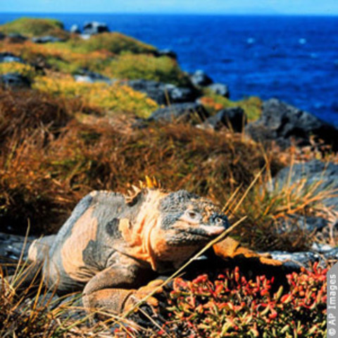 Convention on Biological Diversity