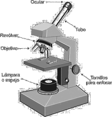 microscopio en una operación