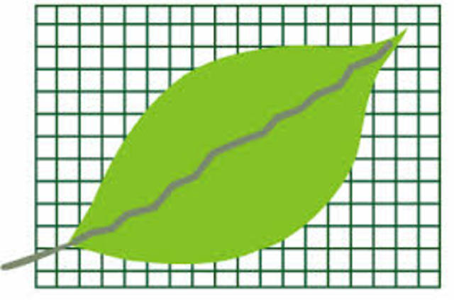 Indicadores de Desarrollo Sustentable