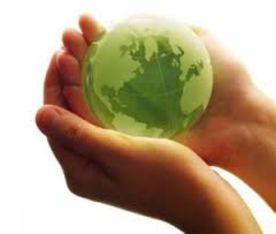 CREA LA COMISION NACIONAL DEL MEDIO AMBIENTEY DERECHOS DE LA ONU