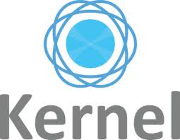 Se  retraso el proceso del nucleo KERNEL para completarce finalmente en el año 1991