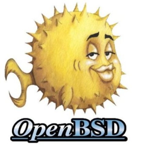 OpenBSD fue publicada