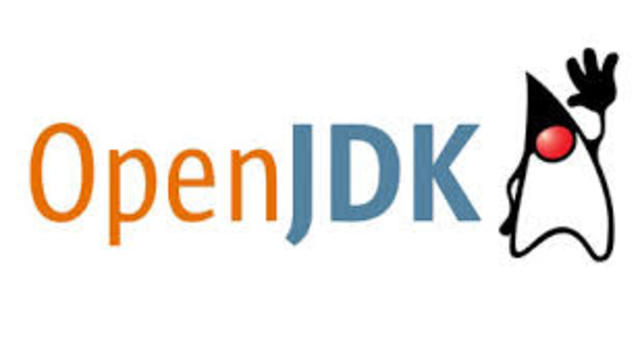 Sun Microsystems liberó el Java Development Kit con el nombre OpenJDK