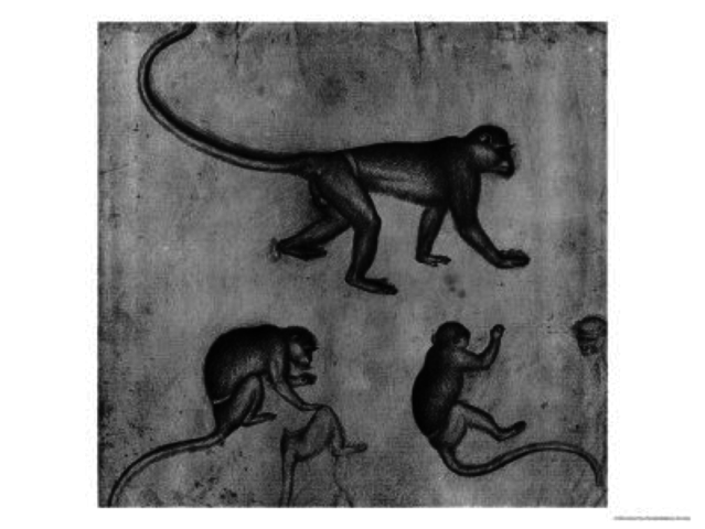 Apuntes de un nono, Antonio Pisanello