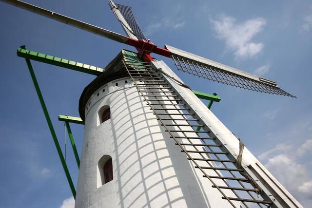 Molenfeesten (Kinrooi)