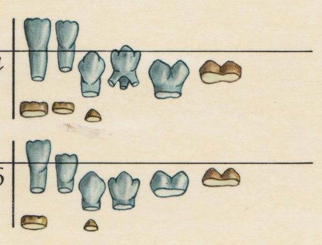 ENTRE LOS 6M Y LOS 9M.