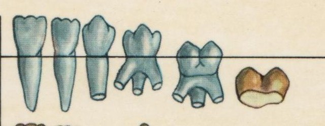 ENTRE LOS 9M Y LOS 12M