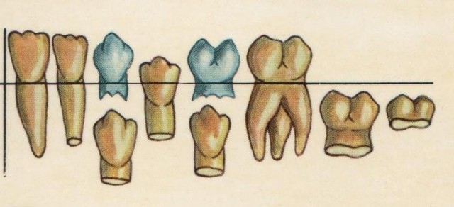 ENTRE LOS 10 AÑOS Y 12 AÑOS