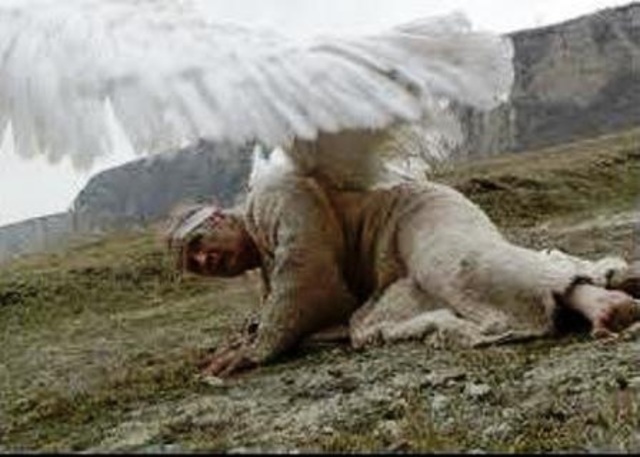 Un señor muy viejo con unas alas enormes