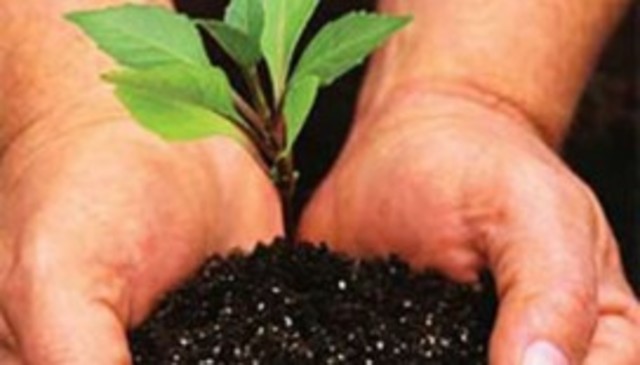 Inicio RSE en Guatemala