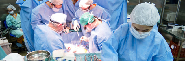 Estandariza la técnica del By pass.