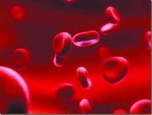 Crea un banco de sangre.