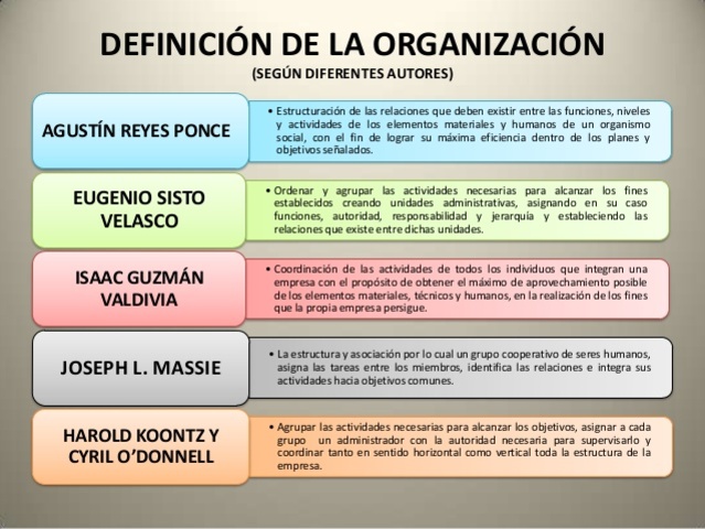 organizacion