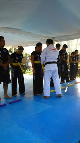 Mi examen de cinta amarilla