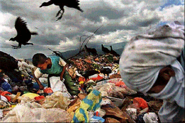 Edad contemporánea (1789 hasta la actualidad)