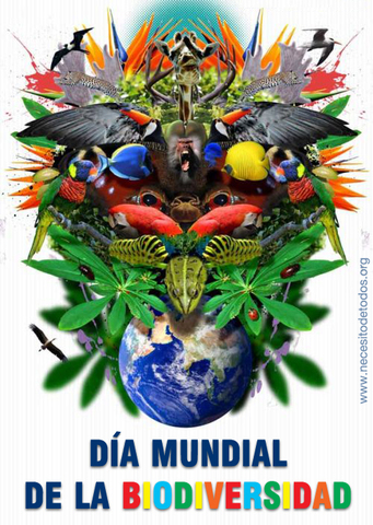 Dia mundial de la Biodiversidad