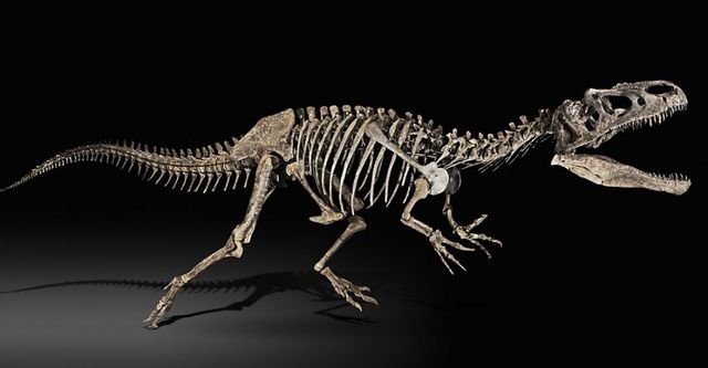 Concrete Operational