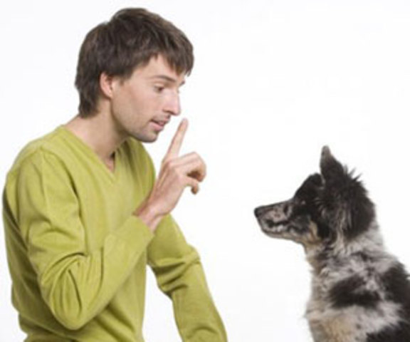 Características Conductismo