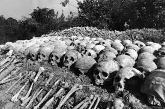 Pol pot