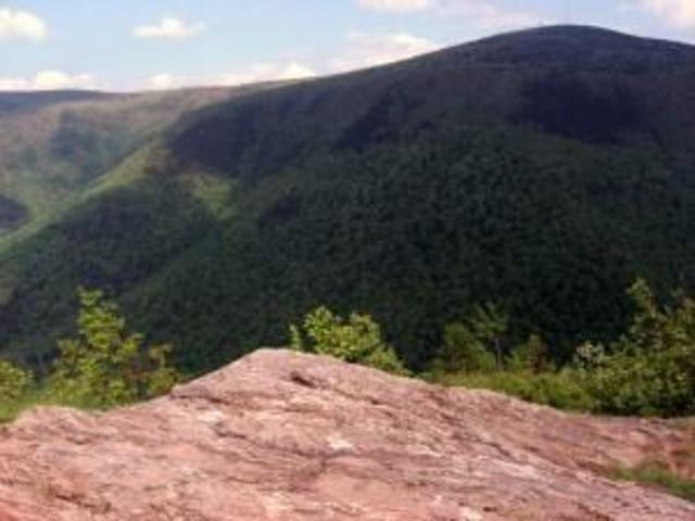 Hike to the top of Mount Greylock.