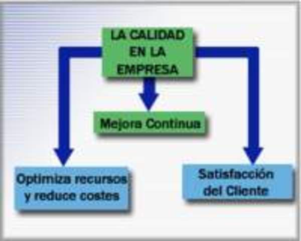 Sistemas De Calidad Actuales