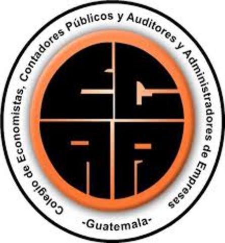 Creación de la Comisión de Principios de Contabilidad y Normas de Auditoría del IGCPA