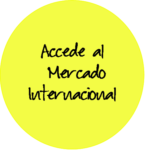 Plan de Acción Internacional