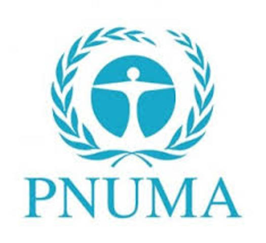 Creación del PNUMA
