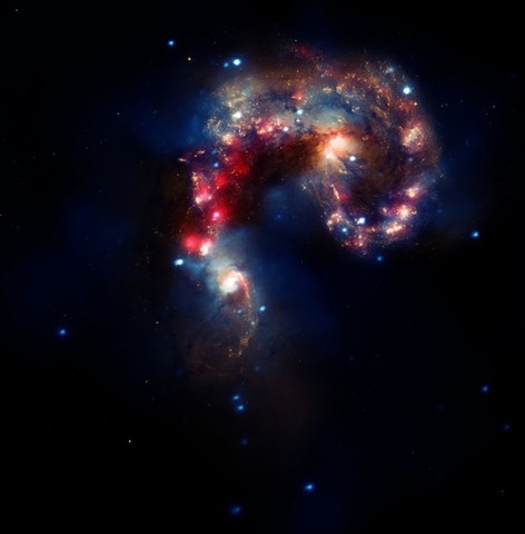 Fuerzas no diferenciadas