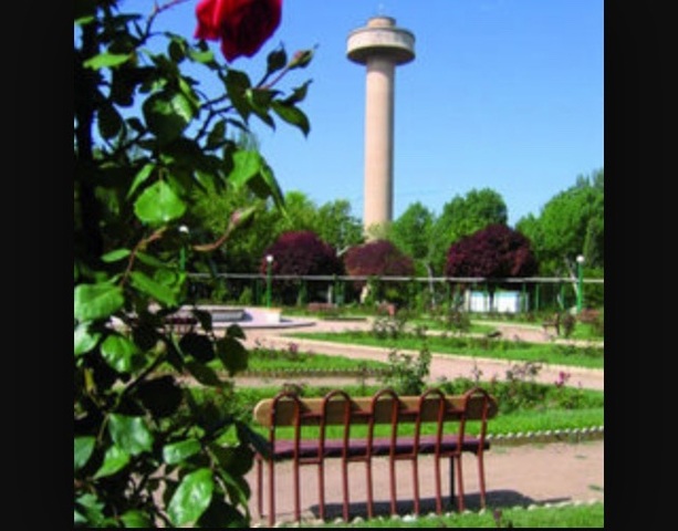 La fiesta del árbol