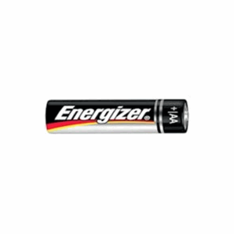 Energizer Lider en Iniciativas Ambientales