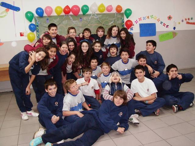 the whales are bigest animals of the world