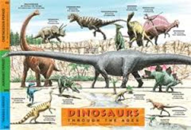 Creataceous 145 to 65 million years ago