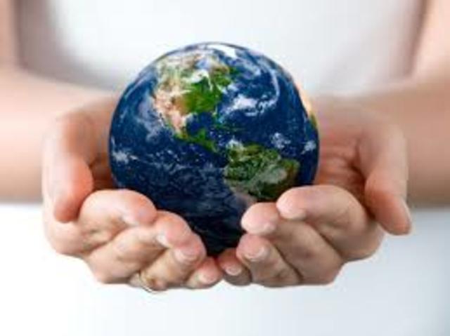 Cuales son y cuales fueron creadas las principales instituciones profecionales de estanderizacion de informacion financiera en el mundo