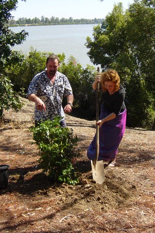 Going to starbroke at christmas time