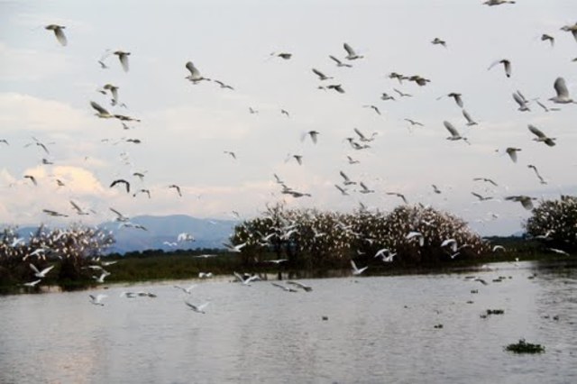 CHIMICHAGUA Y TAMALAMEQUE