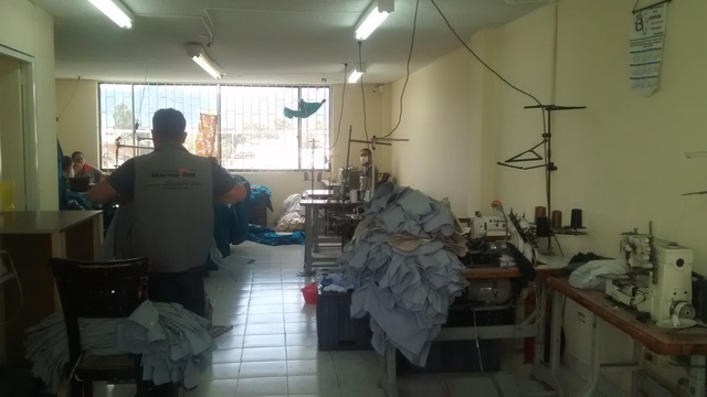 Fundación de la organización