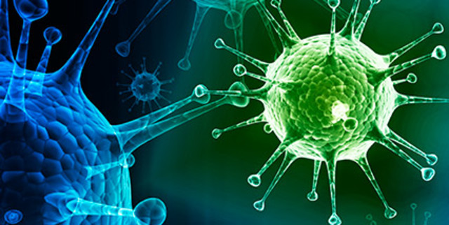 TRANSPORTE DE GÈRMENES