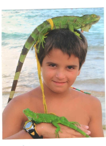 I went to Colombia, San Andres Island. I touched the lizards...they were small and fast...the color was bright green.