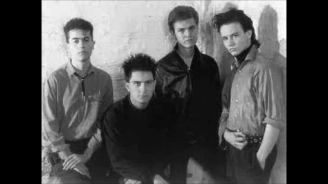 Inicios de su carrera con Héroes del Silencio