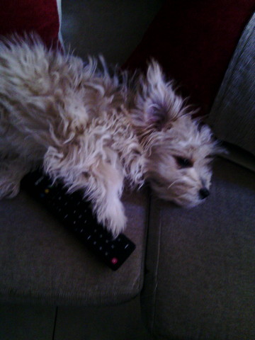 lying on armchair!!!