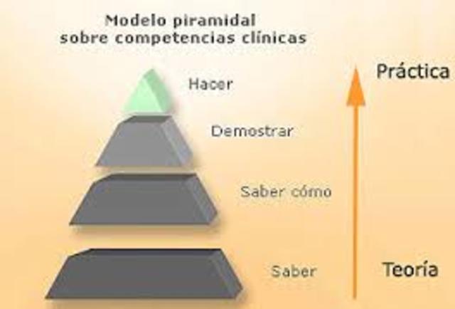 Paradigma Educativo 3