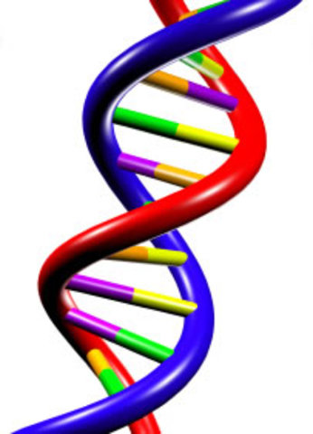 DNA