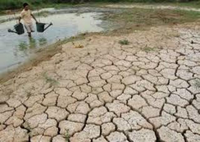 Identificar y poner en común los objetivos y contenidos curriculares