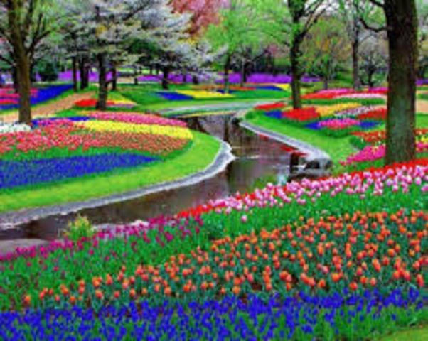 Establecer metas de aprendizaje