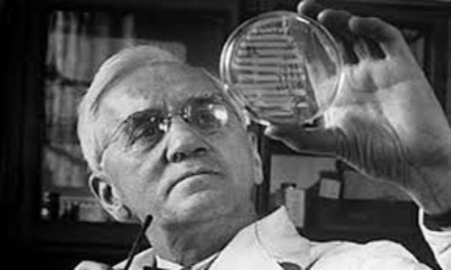 Descubrió la penicilina ,Alexander Fleming