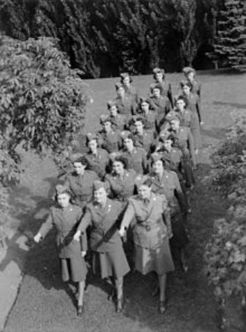 Women Enlist in Army