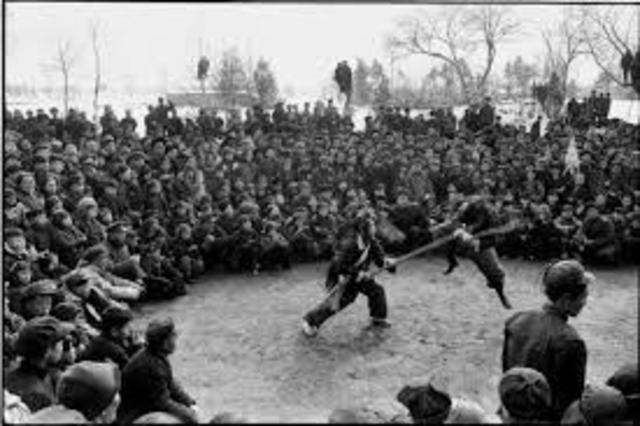 one hundred flower campeign 1956