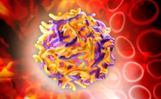 Bacterias en personas